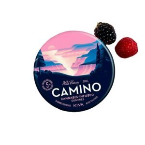 Wild Berry Gummies 20pk (5mg THC) | Edibles